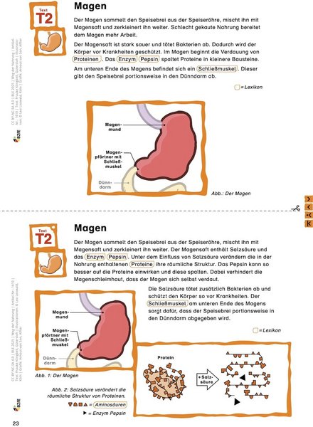 Beispielseite aus dem Material.