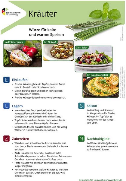 Ansicht des Lebensmittel-Infoblattes Kräuter