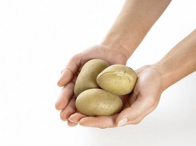 Drei mittelgroße Kartoffeln liegen in zwei Erwachsenenhänden.