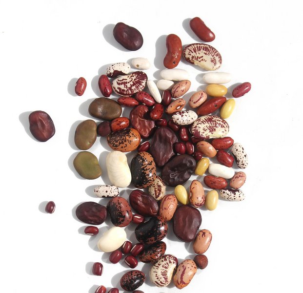 Verschiedene getrocknete Bohnen liegen auf weißem Grund.