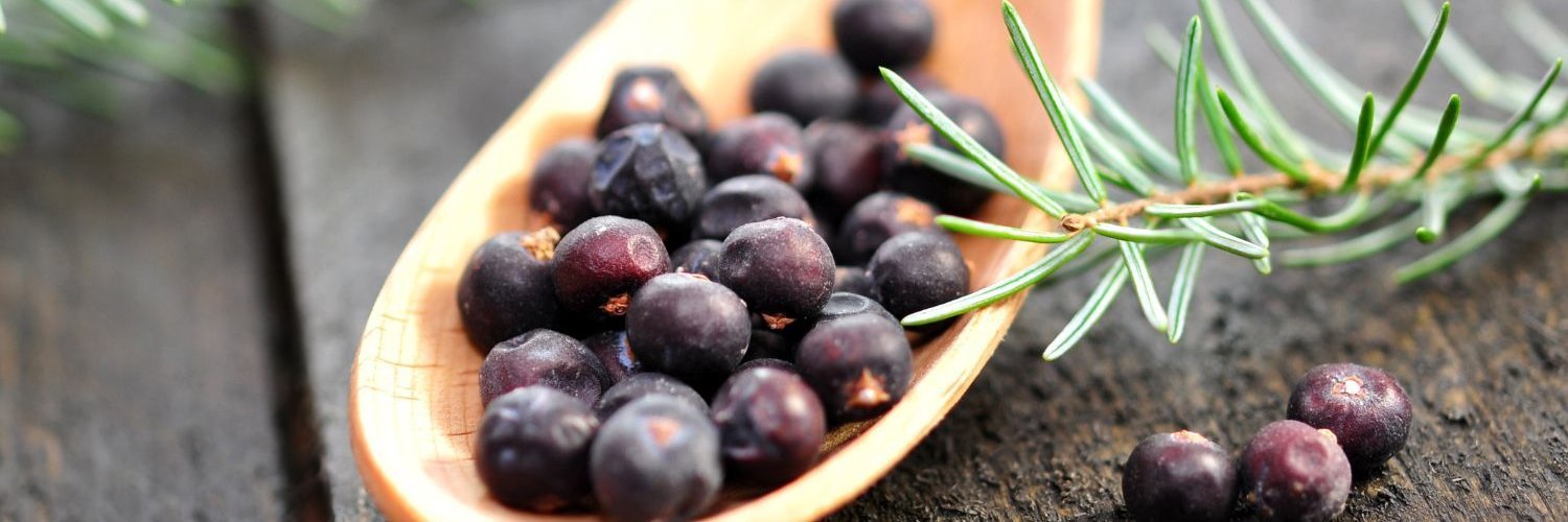 Auf einem Holzlöffel liegen Wacholderbeeren und daneben kleine Wacholderzweige. 