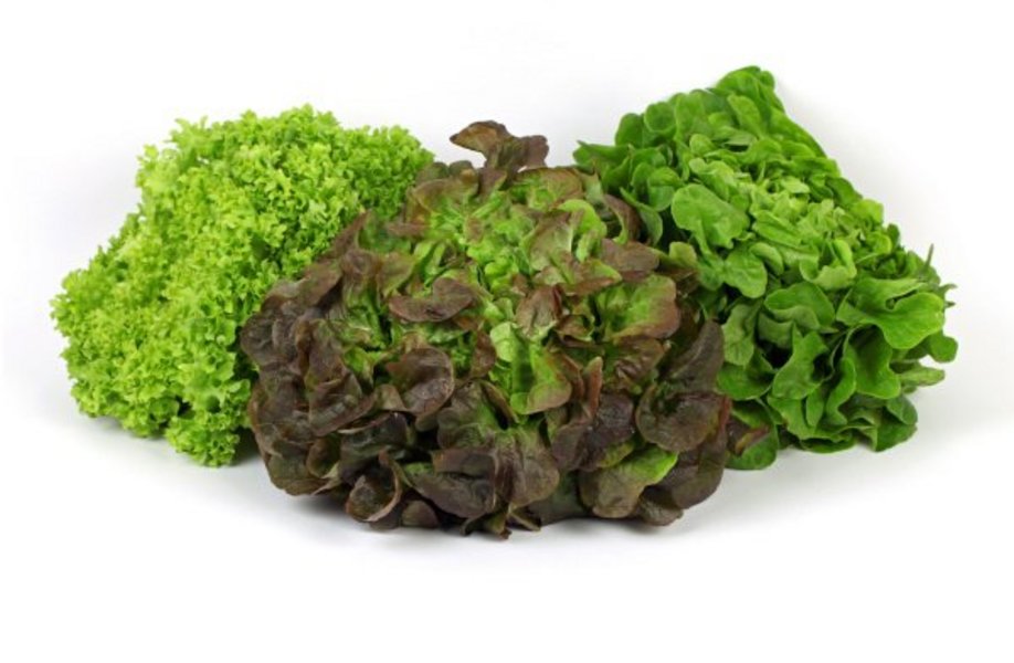 Drei verschiedene Salatköpfe auf weißem Hintergrund.