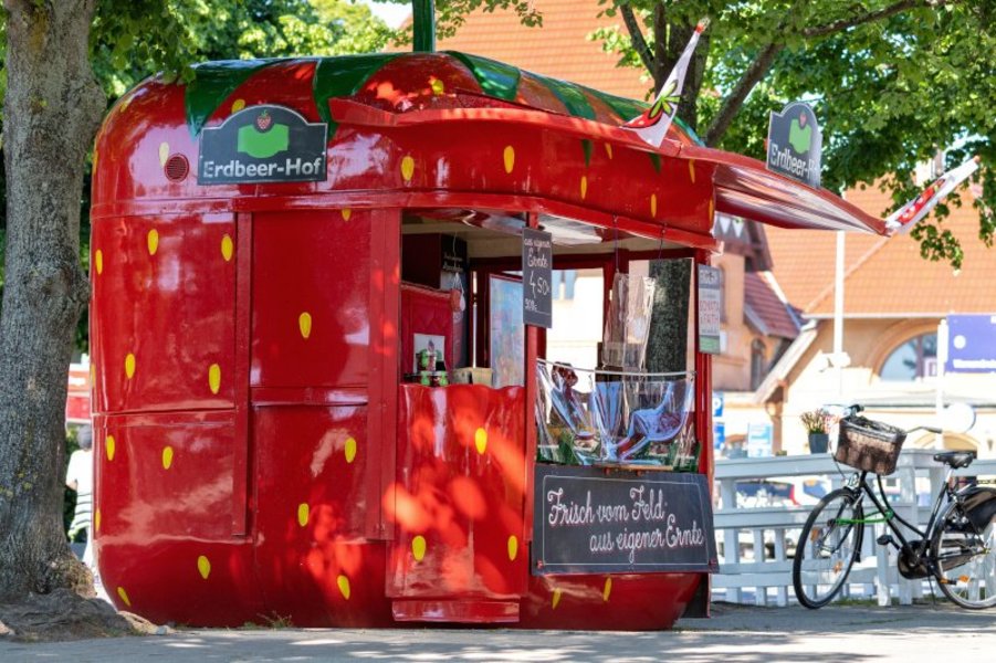 Erdbeerstand, an dem frische Erdbeeren direkt vom Feld angeboten werden.