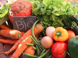 Verschiedene Gemüsearten und ein Schild mit Aufschrift Bio