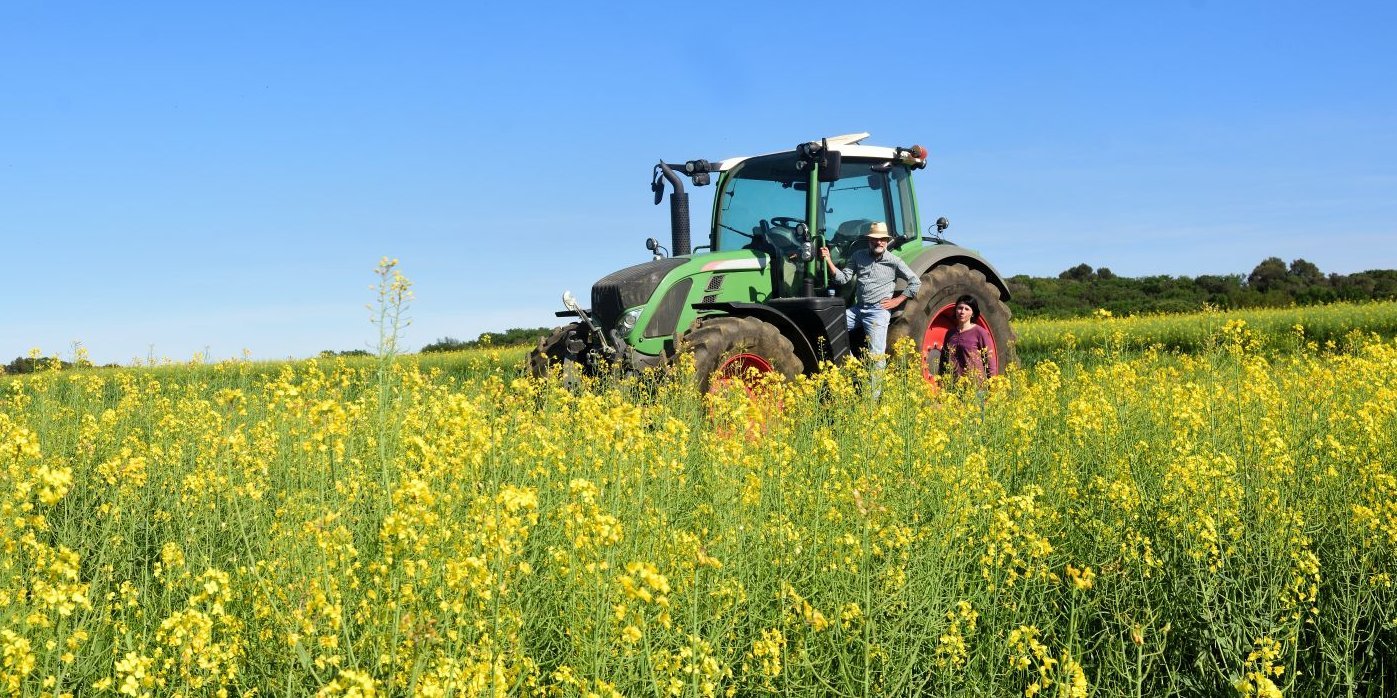Auf einem gelbblühenden Rapsfeld steht ein Landwirt an seinem Traktor.. Artikel "Rapsöl: Auf dem Acker" öffnen.