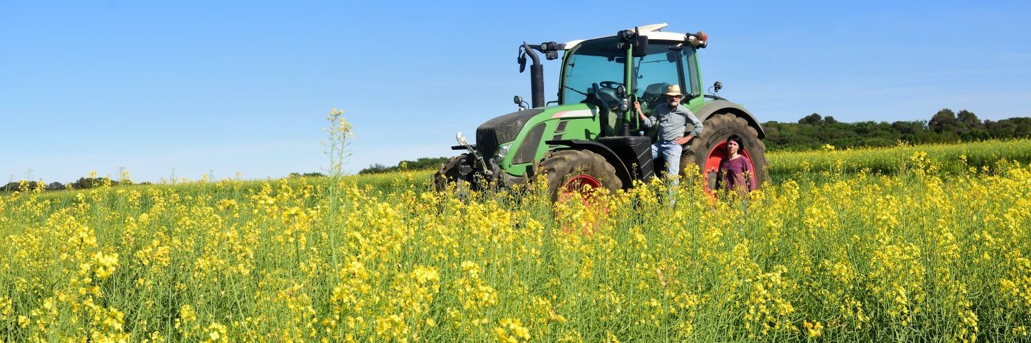 Auf einem gelbblühenden Rapsfeld steht ein Landwirt an seinem Traktor.