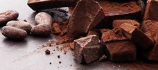 Kakaobohnen und Schokoladenstücke liegen auf einem Tisch