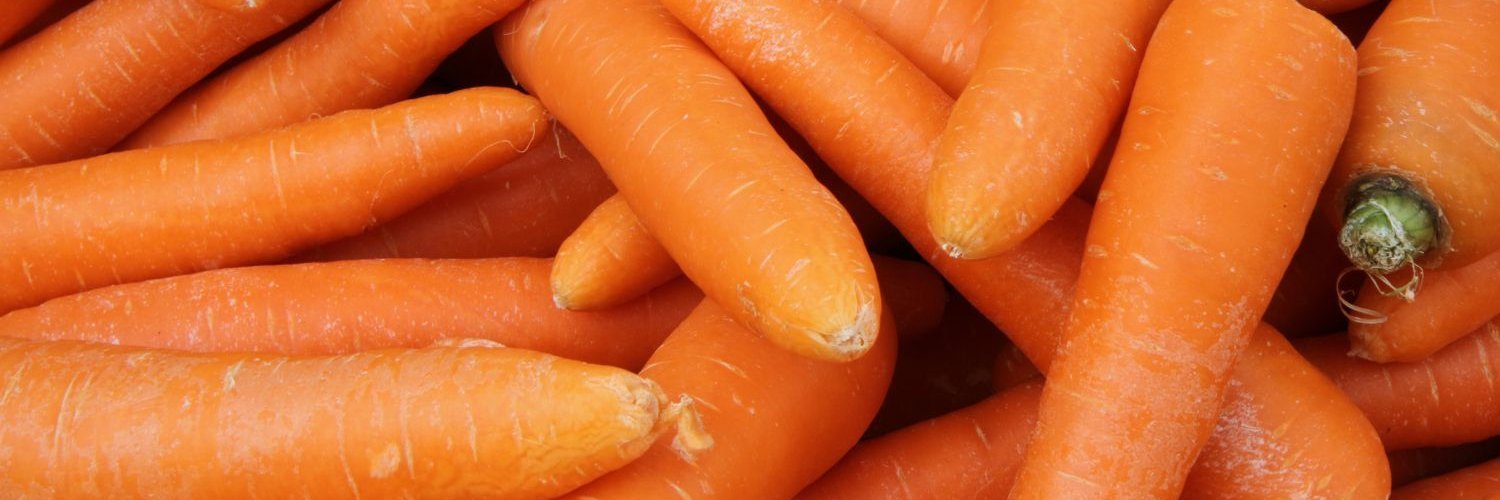 Die Bildfläche ist ausgefüllt mit frischen orangefarbenen Möhren.
