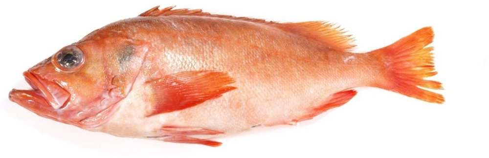 Ganzer Fisch: Rotbarsch.
