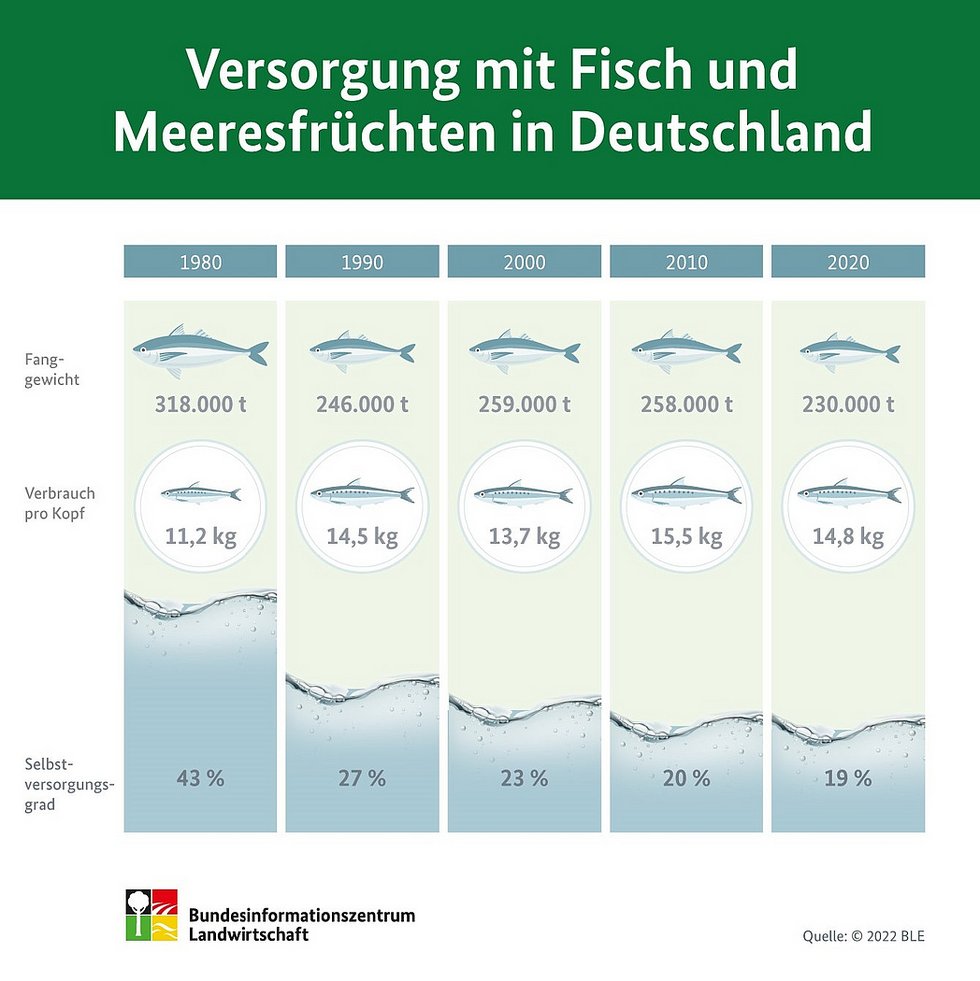 Infografik Fischerei in Deutschland