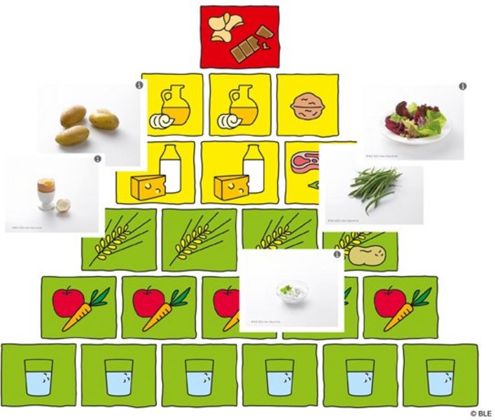 Auszug aus der Learning App.