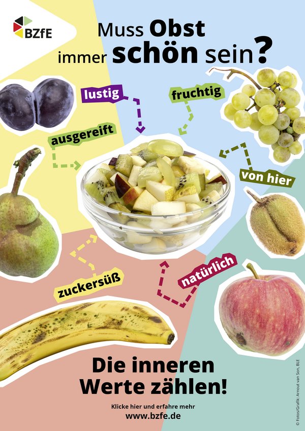 Infografik zum Titel "Muss Obst immer schön sein?"
