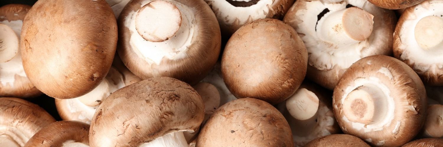 Frische Champignons. 