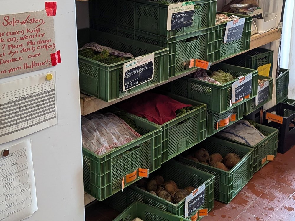 Mehrere gruene Kisten mit Bio-Gemuese stehen in einem Regal neben einem Kuehlschrank.