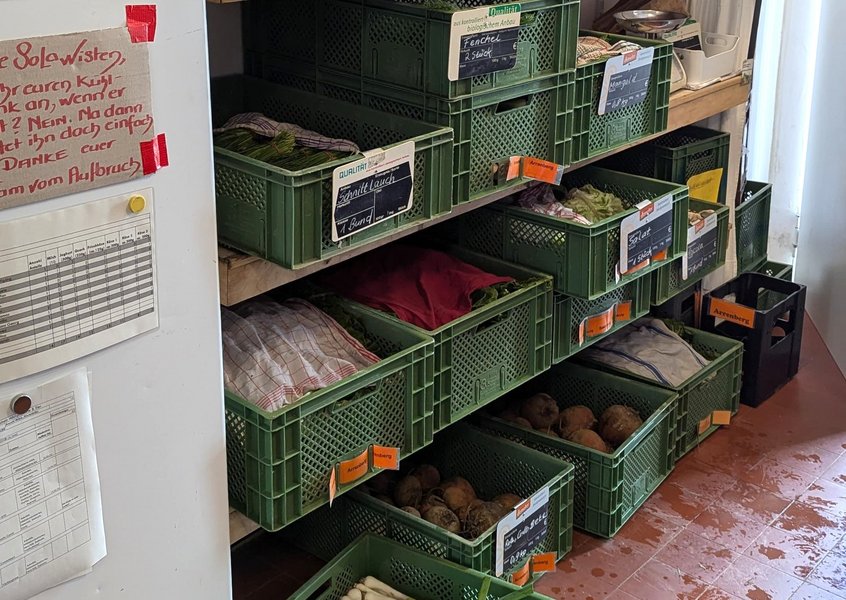 Mehrere gruene Kisten mit Bio-Gemuese stehen in einem Regal neben einem Kuehlschrank.