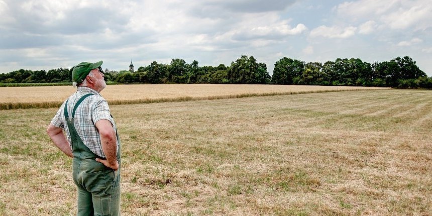 Ein Landwirt steht auf seiner trockenen Wiese. Er schaut in den Himmel und hofft, dass die Wolken endlich Regen bringen. . Artikel "Das bedeutet die Frühjahrsdürre" öffnen.