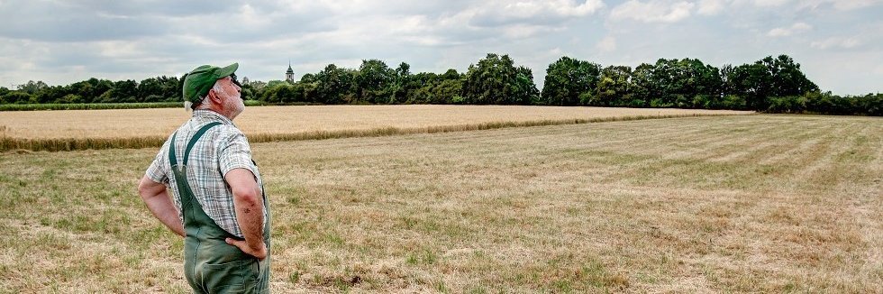 Ein Landwirt steht auf seiner trockenen Wiese. Er schaut in den Himmel und hofft, dass die Wolken endlich Regen bringen. 