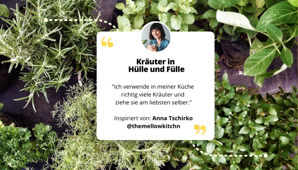 Kräuter und darauf ein Feld mit dem Text und einem Zitat von Anna Tschirko: Kräuter in Hülle und Fülle "ich verwende in meiner Küche richtig viele Kräuter und ziehe sie am liebsten selber".