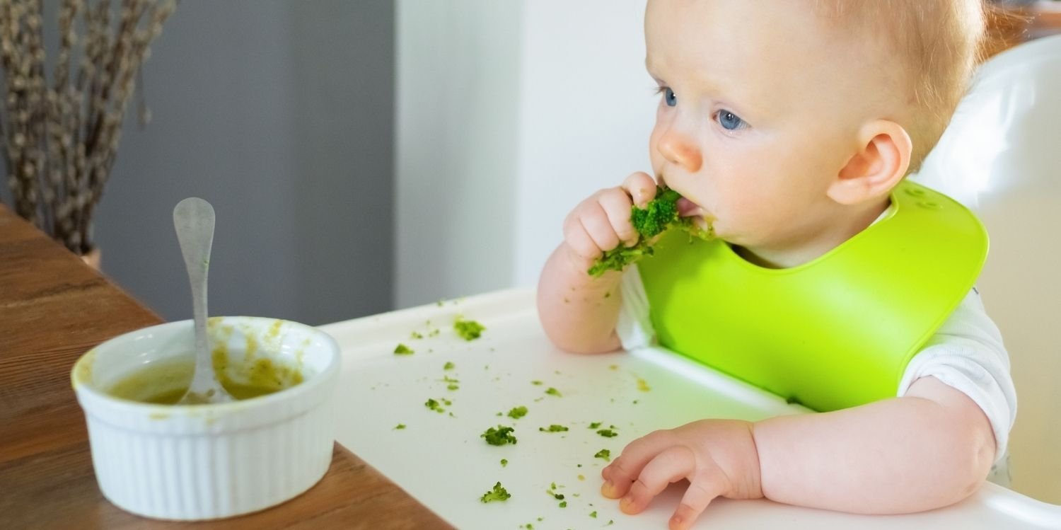 : Ein rothaariges Baby mit grünem Lätzchen sitzt in einem Hochstuhl und steckt sich ein Stück Brokkoli in den Mund. Vor ihm steht eine leere Schüssel mit Löffel.. Artikel "Babybrei aus dem Gläschen" öffnen.