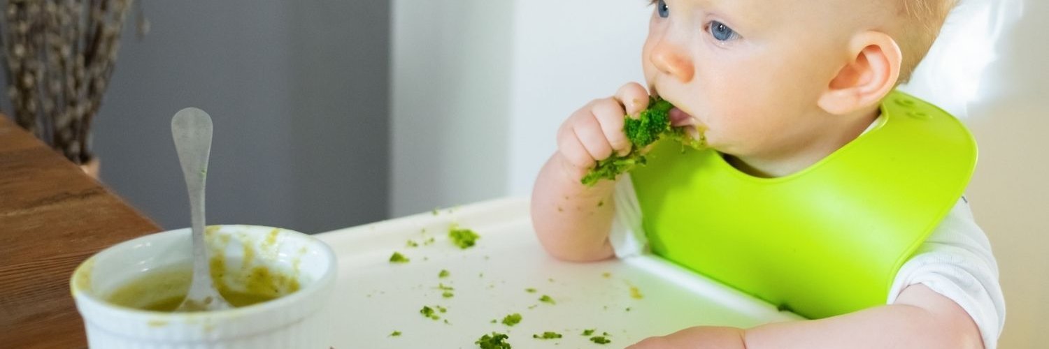 : Ein rothaariges Baby mit grünem Lätzchen sitzt in einem Hochstuhl und steckt sich ein Stück Brokkoli in den Mund. Vor ihm steht eine leere Schüssel mit Löffel.