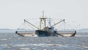 Krabbenkutter im Meer an der niederländischen Küste
