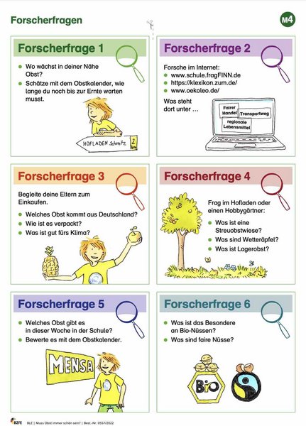 Arbeitsblatt aus dem Material Muss Obst immer schön sein. 