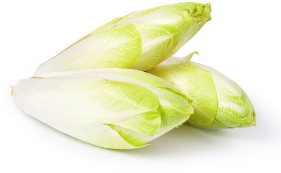 Drei Chicorees auf weissem Hintergrund.