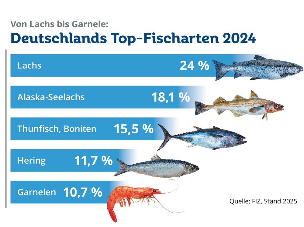 Grafik mit den fünf beliebtesten Fischarten in Deutschland: Lachs (24 Prozent), Alaska-Seelachs (18,1 Prozent), Thungisch/Boniten (15,5 Prozent), Hering (11,7 Prozent), Garnelen (10,7 Prozent).