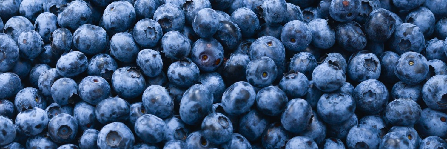 Die Bildfläche wird von Heidelbeeren ausgefüllt.