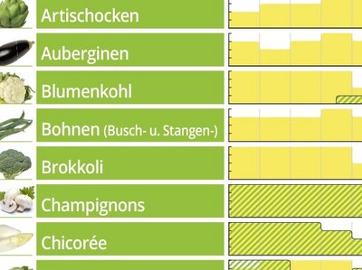 Ein Ausschnitt aus dem Saisonkalender