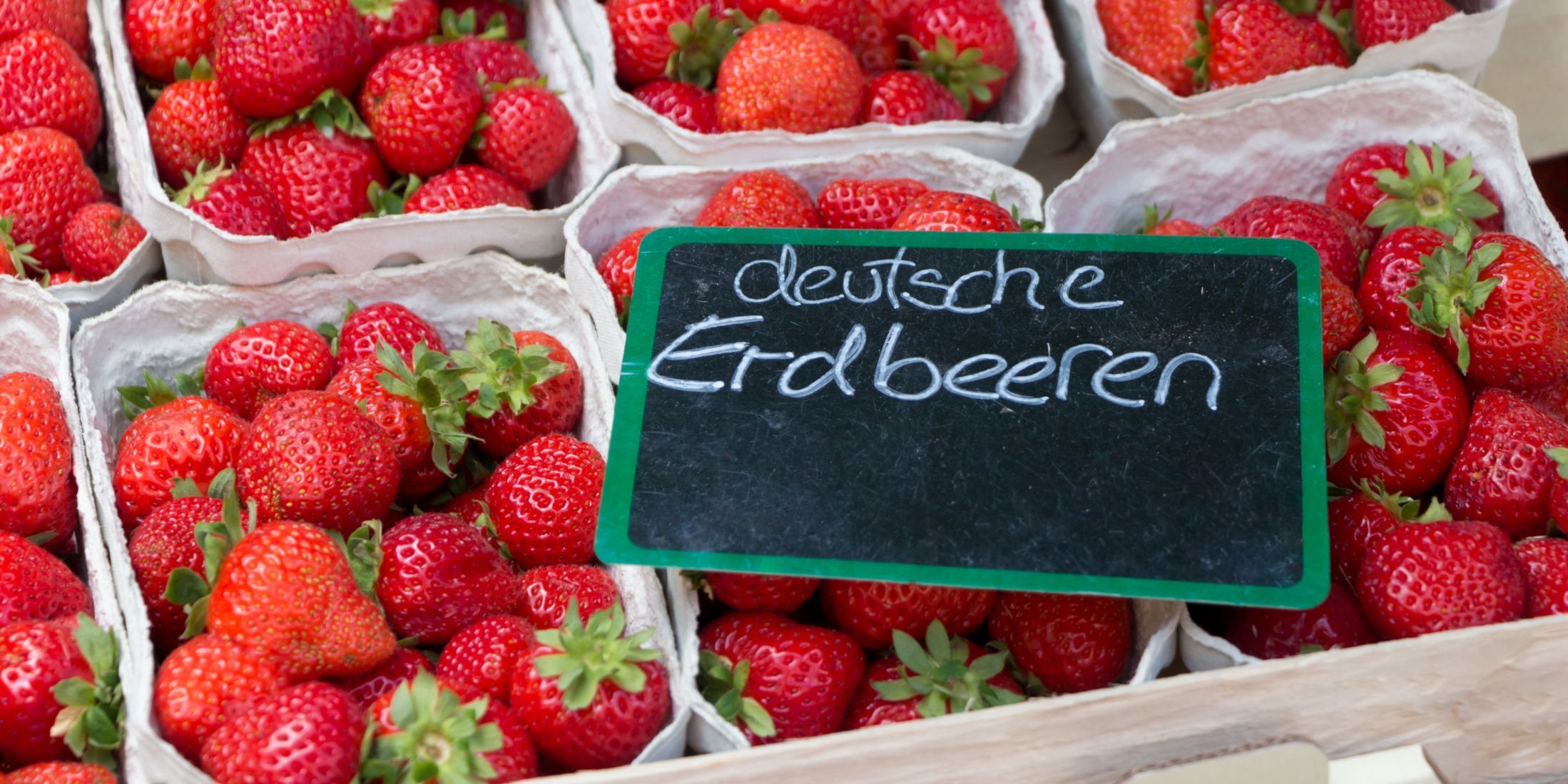 Mehrere Schalen deutscher Erdbeeren stehen eng nebeneinander.. Artikel "Erdbeeren: Von der Ernte in den Handel" öffnen.