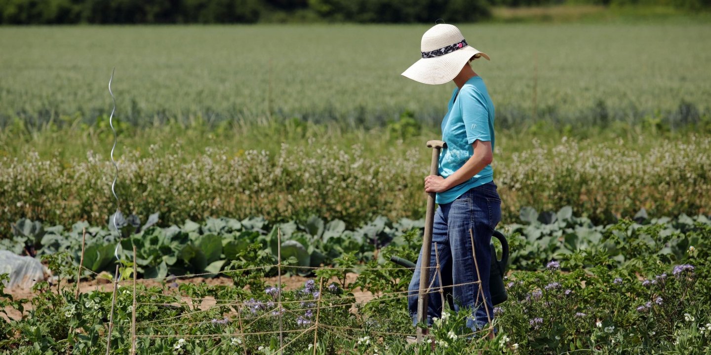 Frau mit Sonnenhut und Spaten in der Hand steht auf einem Mietacker.