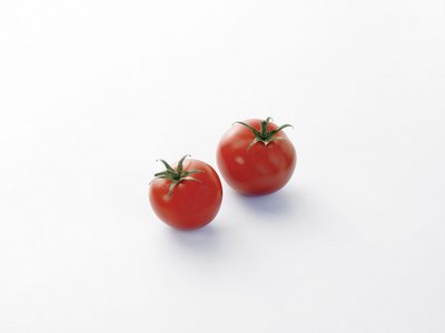 Es sind zwei einzelne Tomaten abgebildet.
