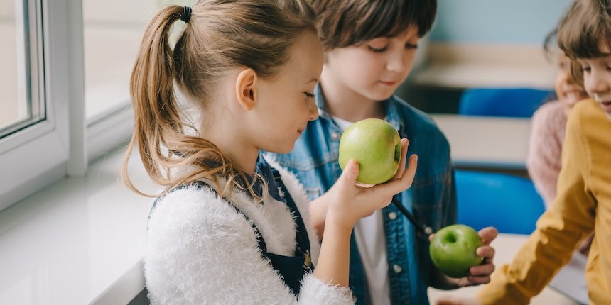 Drei Schulkinder sehen sich grüne Äpfel an.. Artikel "Der Feinschmeckerkurs" öffnen.