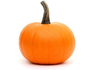 Ein orangenfarbener Kürbis mit einem dunkelgrünen Stiel ist vor einem weißen Hintergrund abgebildet..