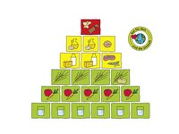 Die Ernährungspyramide des Bundeszentrums für Ernährung ist abgebildet.