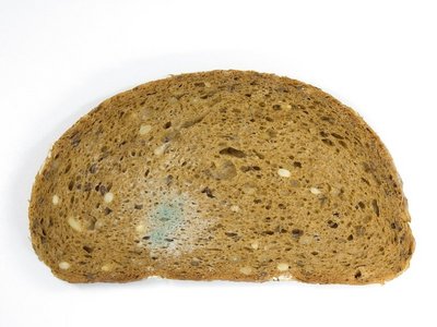Scheibe Brot mit schimmeliger Stelle.