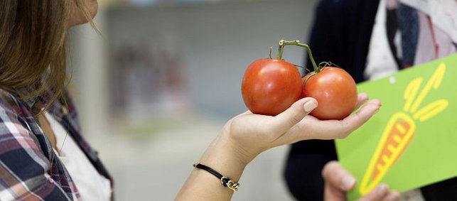 zwei Tomaten werden in einer Hand gehalten, daneben ein Schild der Ernährungspyramide