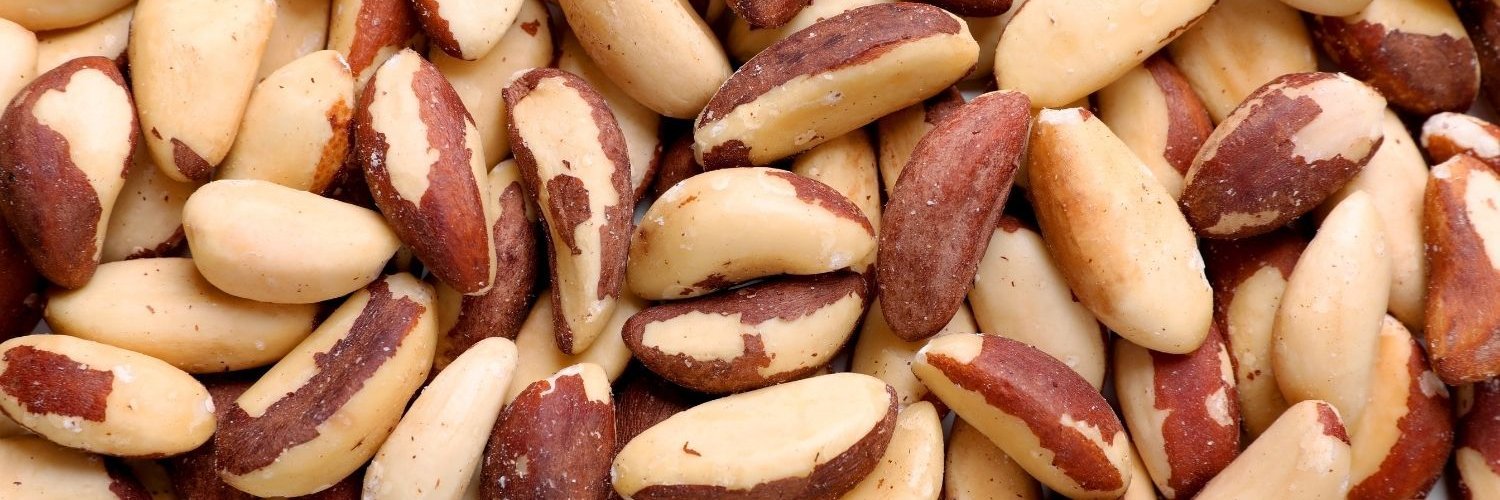 Das gesamte Bild ist ausgefüllt mit geschälten Paranüssen in Beige- und Brauntönen.