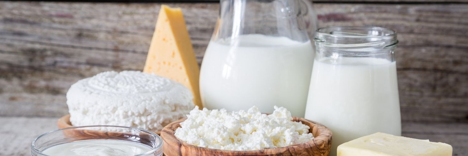 Auf einem Tisch stehen zwei Krüge Milch, eine Schüssel mit Joghurt und zwei Holzschüsseln mit Hüttenkäse, sowie ein Stück Butter und ein Hartkäse.