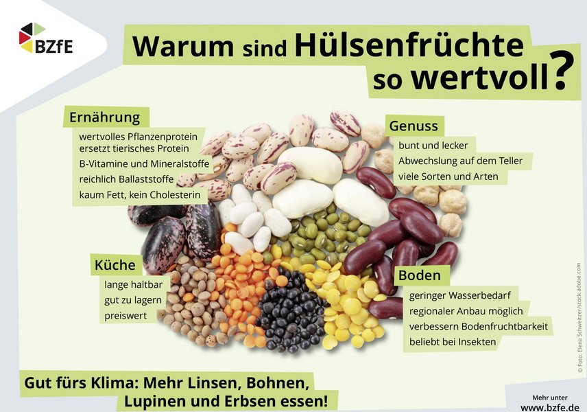Eine Grafik mit bunten getrockneten Hülsenfrüchten. Darüber die Überschrift "Warum sind Hülsenfrüchte so wertvoll?" Drumherum verschiedene Argumente zu Gesundheit und Klima.