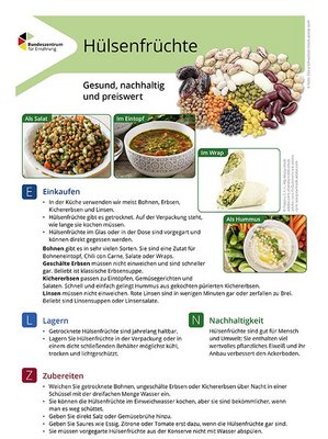 Ansicht des Lebensmittel-Infoblattes Hülsenfrüchte