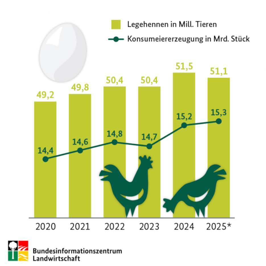 Die Grafik zeigt die Anzahl der Legehennen und gelegten Konsumeier von 2020 bis 2025.