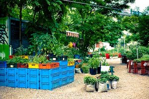 Community Garten: Gemüseanbau in Kisten und Säcken