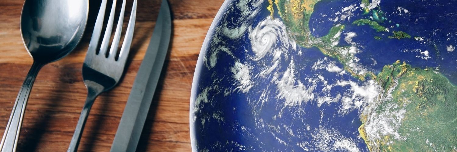 Auf einem Holztisch steht ein Teller der mit einer Vogelperspektive der Erde bedruckt ist. Daneben liegen Löffel, Gabel und Messer.