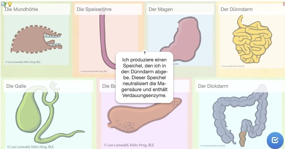 Digitales Quiz zu den Verdauungsorganen und ihren Aufgaben.