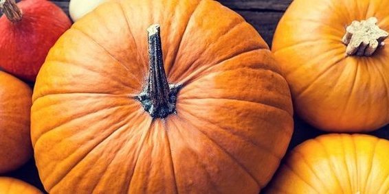 Verschiedene Kürbissorten von oben.. Artikel "Hokkaido, Butternut und Co." öffnen.