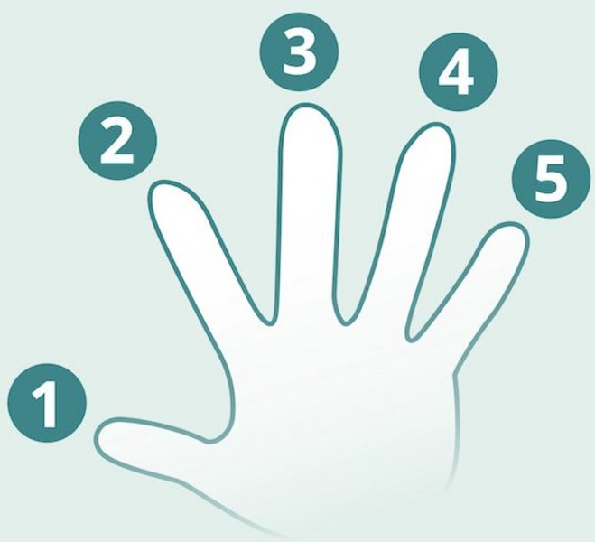 Eine Hand mit nummerierten Fingern symbolisiert das Probierprinzip.