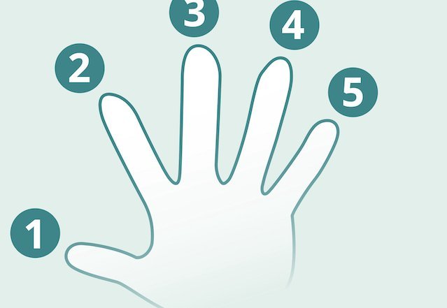 Eine Hand mit nummerierten Fingern symbolisiert das Probierprinzip.
