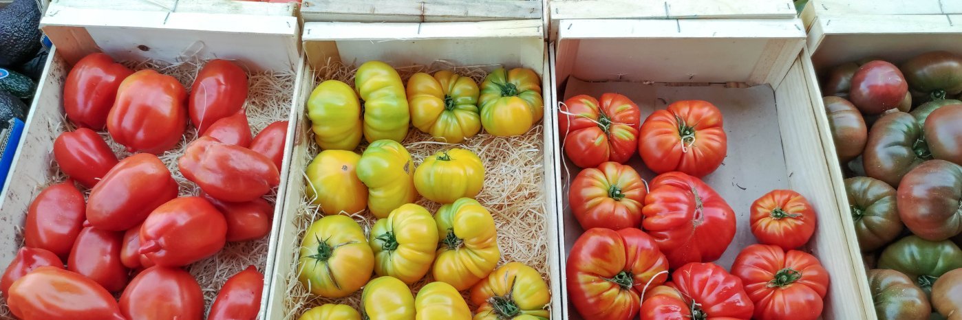 Tomaten in verschiedenen Farben, Formen und Größen liegen auf Holzwolle in Holzkisten.